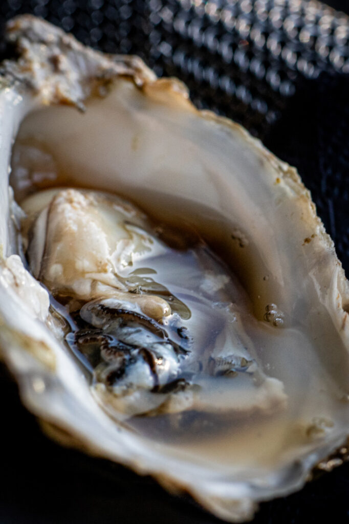 fizz roe caviar champagne