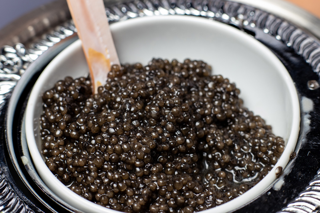 caviar beluga